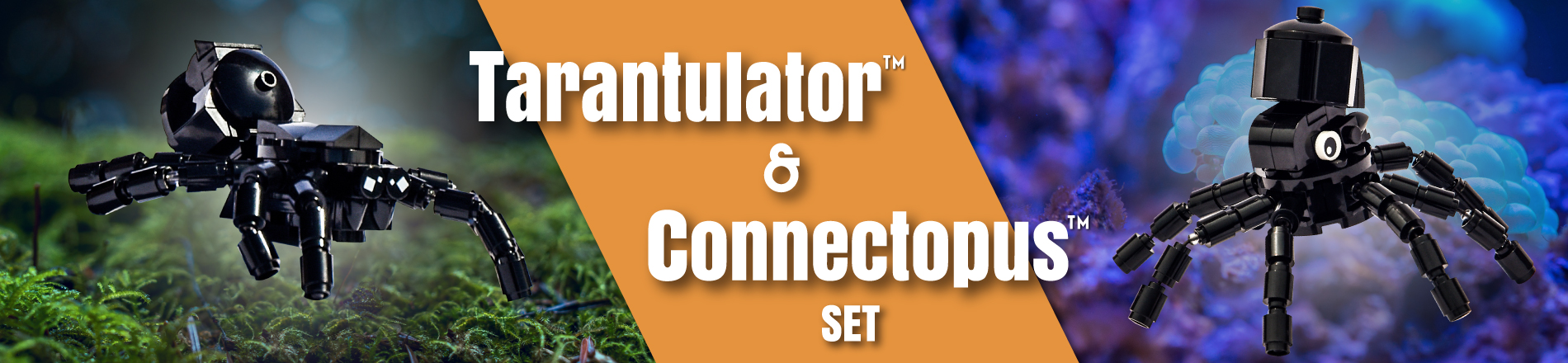 TarantulatorConnectupusSetTagNew